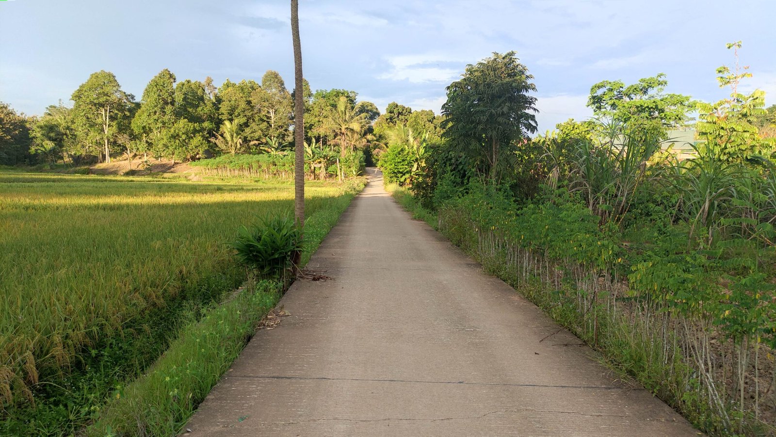 Distanak Kukar Telah Lampaui Target Pembangunan Jalan Usaha Tani