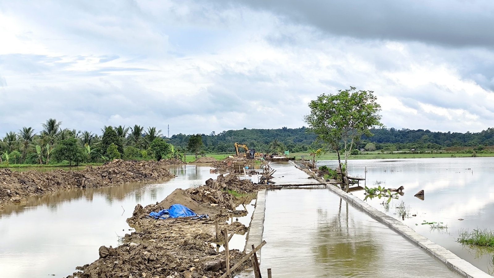 Distanak Kukar Tanggapi Soal Ratusan Hektar Sawah di Bukit Biru Terendam Banjir