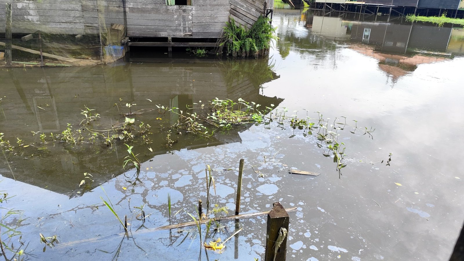 Hujan Deras dan Tambang Ilegal Diduga Sebabkan Air Sungai Mahakam di Loa Ipuh Menghitam dan Berbau