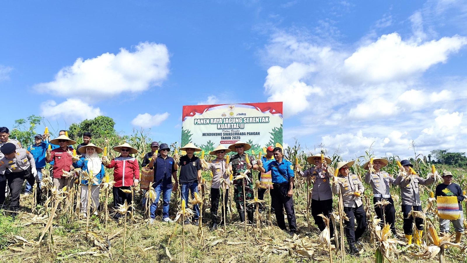 30 Hektar Jagung Dipanen Serentak, Polres Kukar Komitmen Dukung Ketahanan Pangan