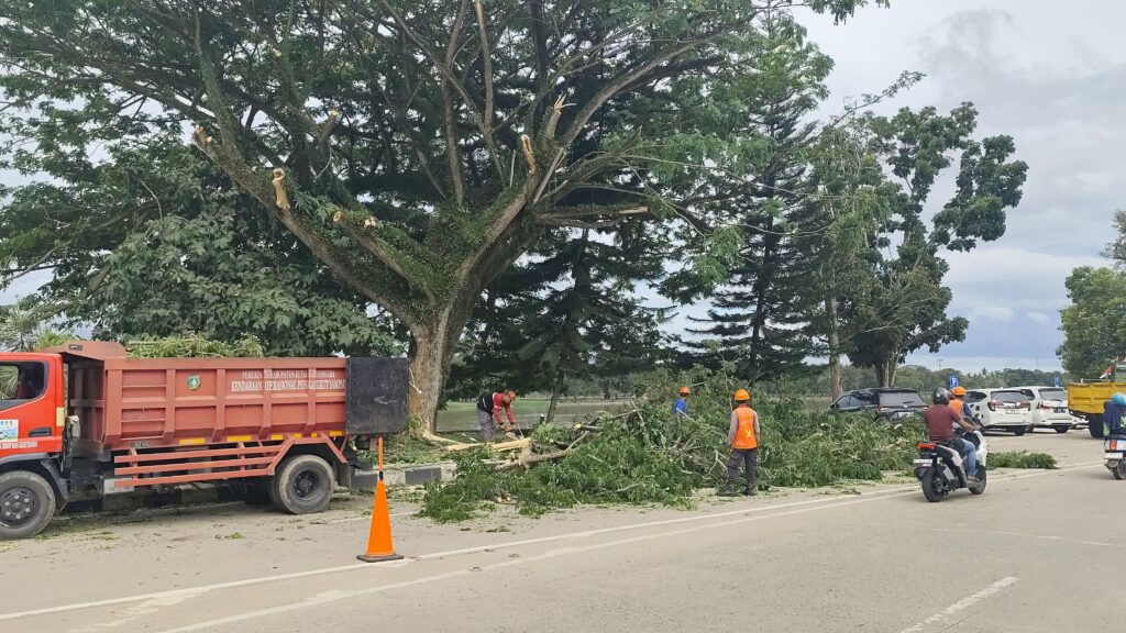 DLHK Kukar Pangkas Pohon Rawan Tumbang di Jalan KH Ahmad Muksin Tenggarong