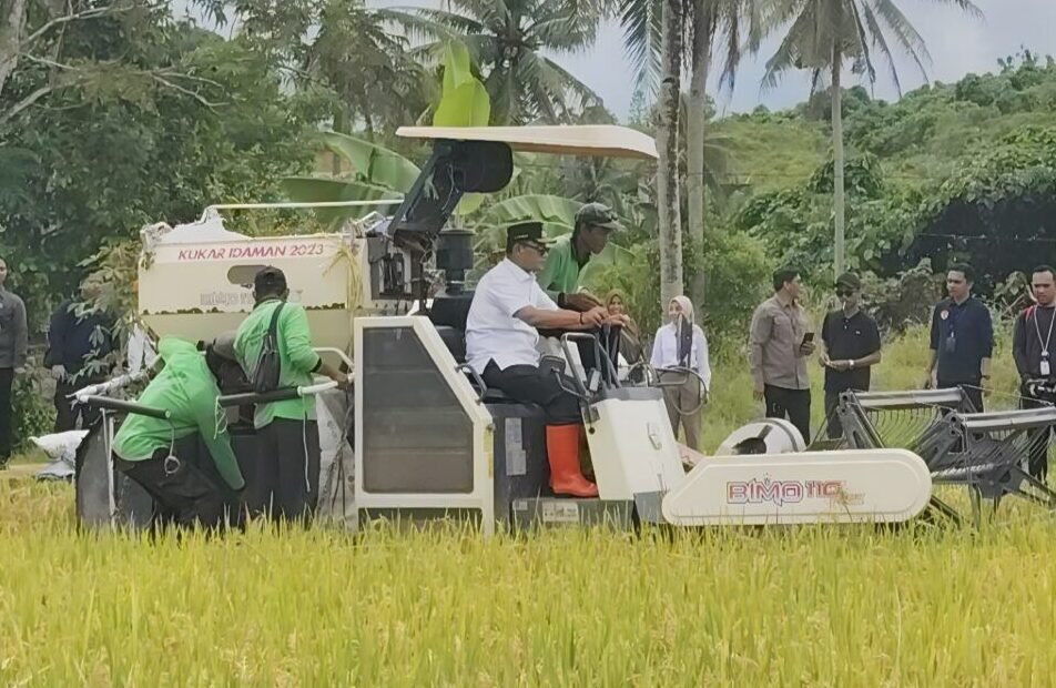 Hadiri Panen Raya di Bukit Biru, Wagub Seno Aji Ungkap Strategi Tiga Kali Panen Setahun