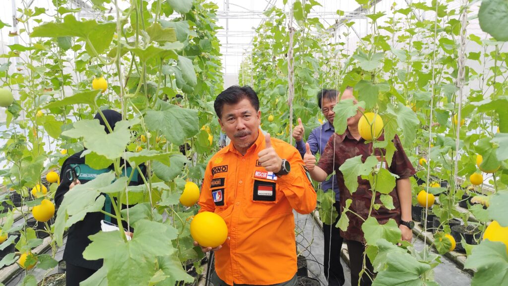 Sekda Nilai Budidaya Melon Greenhouse Bisa Jadi Komoditas Baru Pertanian di Kukar