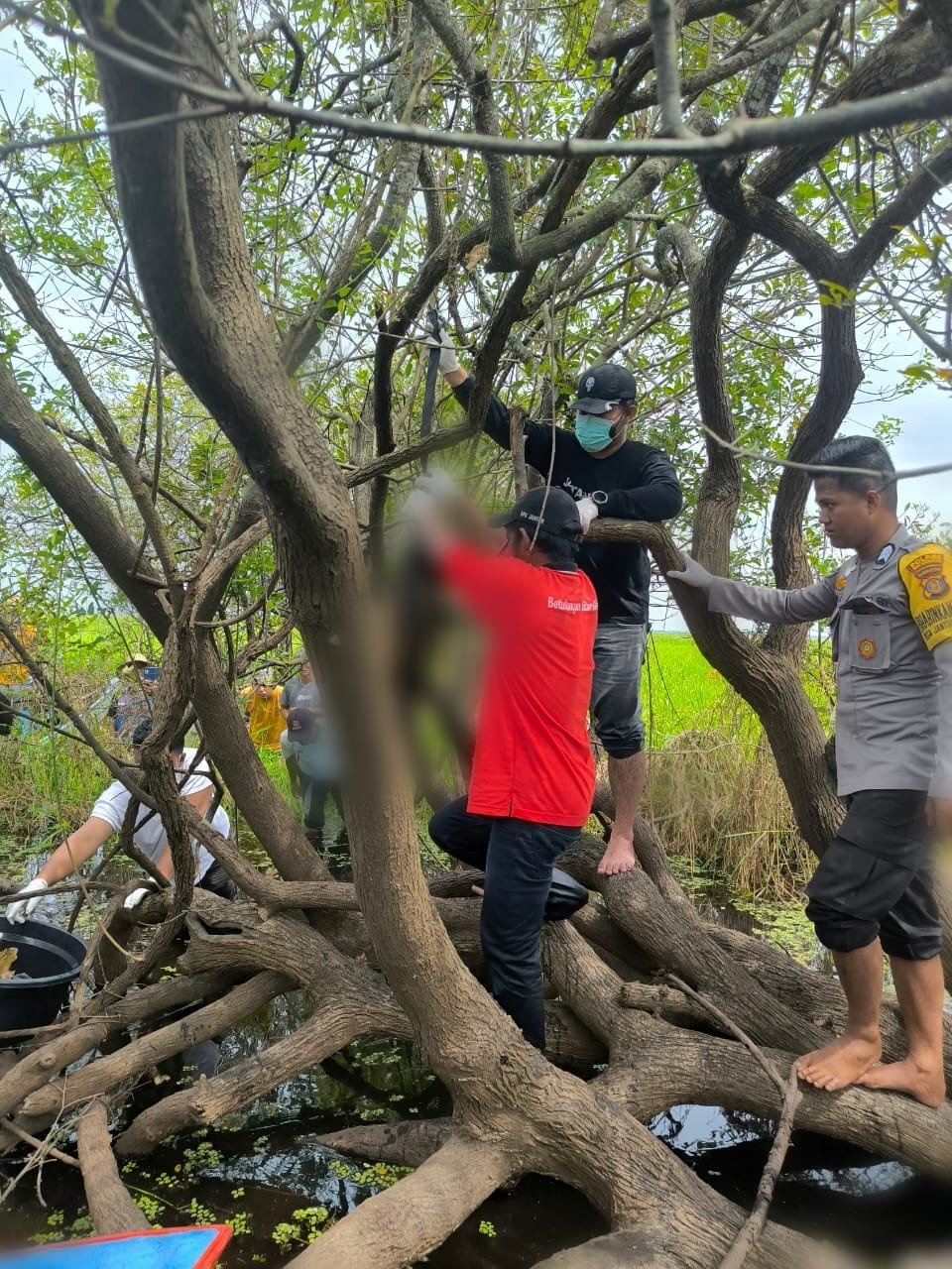 Mayat Nelayan Hilang Ditemukan di Perairan Danau Melintang Kecamatan Muara Muntai