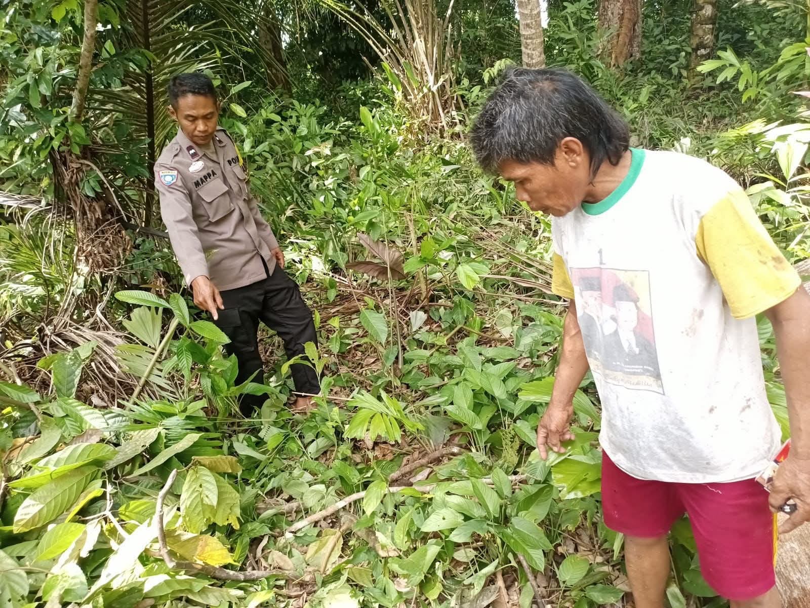 Diduga Alami Gangguan Jiwa, Pria di Desa Kelekat Aniaya Warga hingga Luka Berat